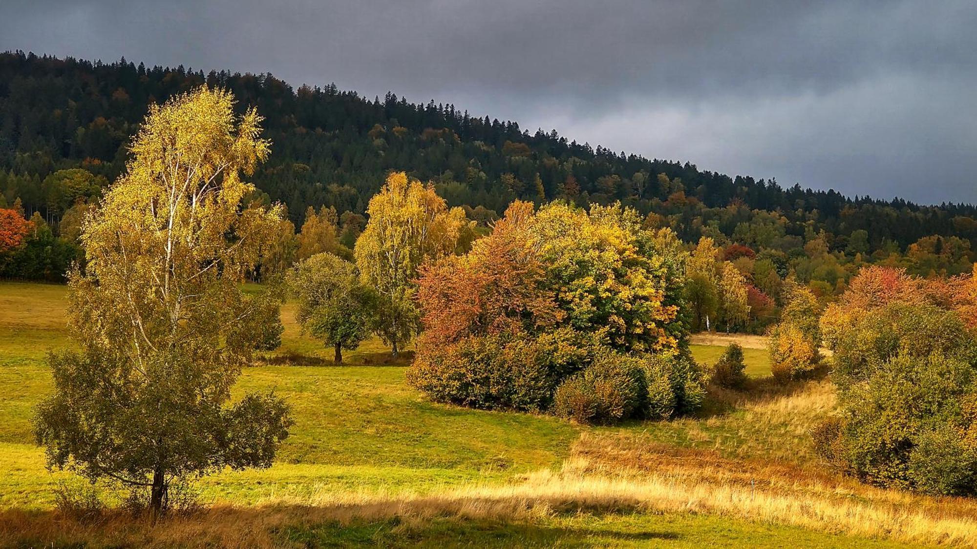 Rezydencja Ostoja Stronie Śląskie Exterior foto