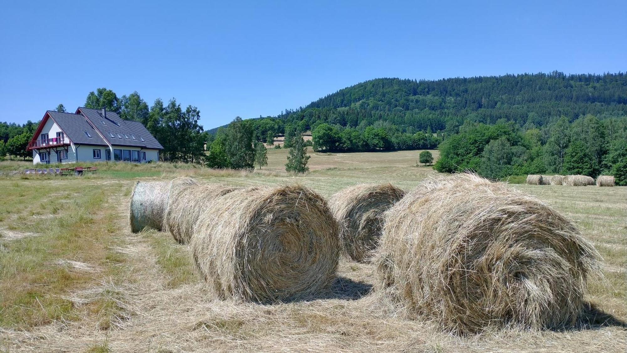 Rezydencja Ostoja Stronie Śląskie Exterior foto
