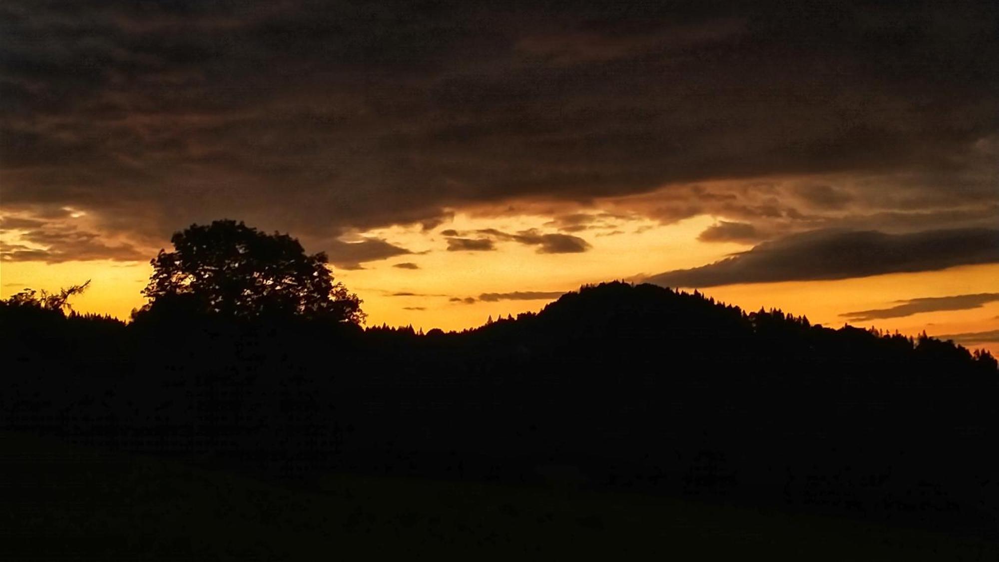 Rezydencja Ostoja Stronie Śląskie Exterior foto